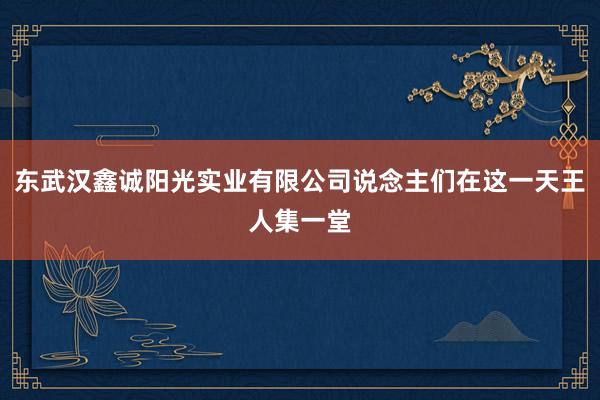 东武汉鑫诚阳光实业有限公司说念主们在这一天王人集一堂