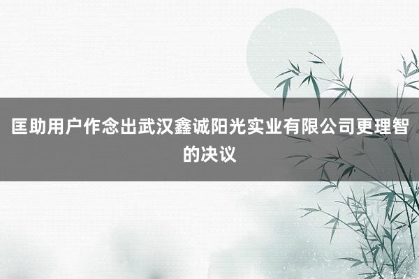 匡助用户作念出武汉鑫诚阳光实业有限公司更理智的决议
